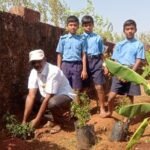 वृक्ष लागवड